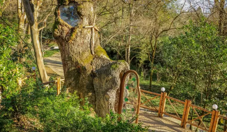 Exploring the Tranquil Beauty of Kutaisi Botanical Garden
