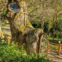 Kutaisi Botanical Garden