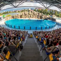 Batumi Dolphinarium