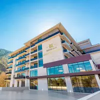 Hotel Borjomi Likani