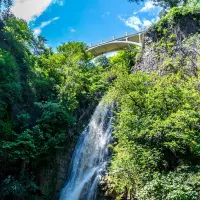 National Botanical Garden of Georgia Tbilisi