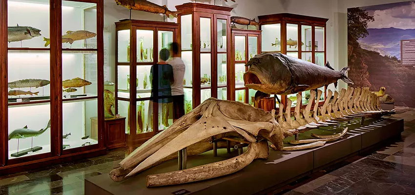 National Museum of Georgia