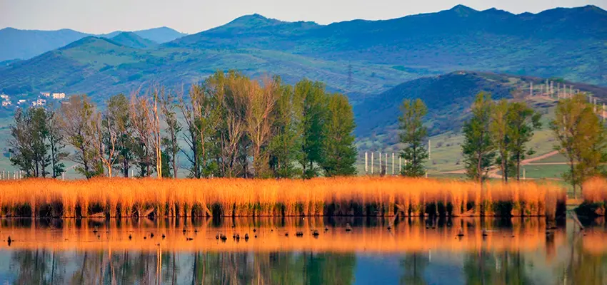 Lisi Lake