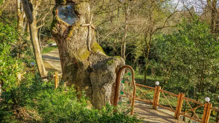 Kutaisi Botanical Garden