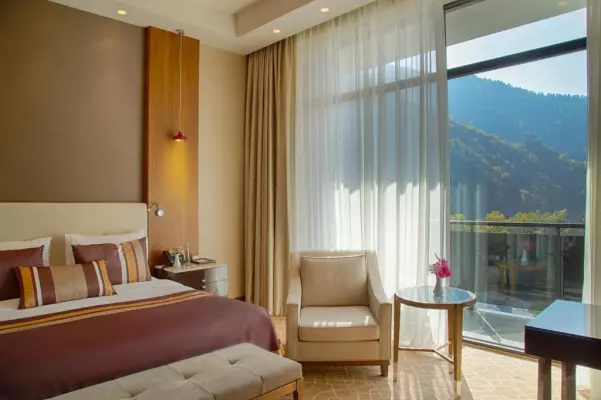 Hotel Borjomi Likani