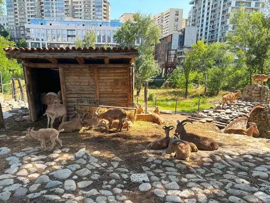 Tbilisi Zoo